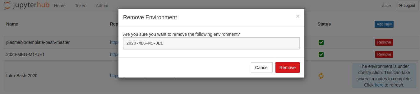 Removing an environment